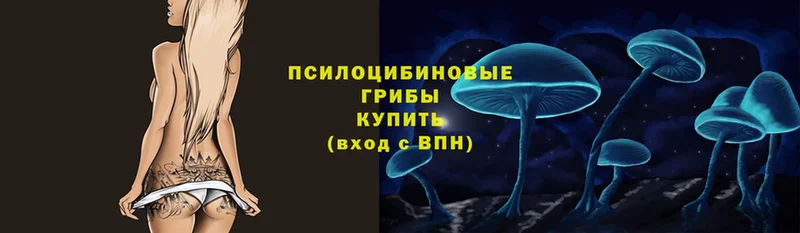 Галлюциногенные грибы Psilocybine cubensis  Рассказово 